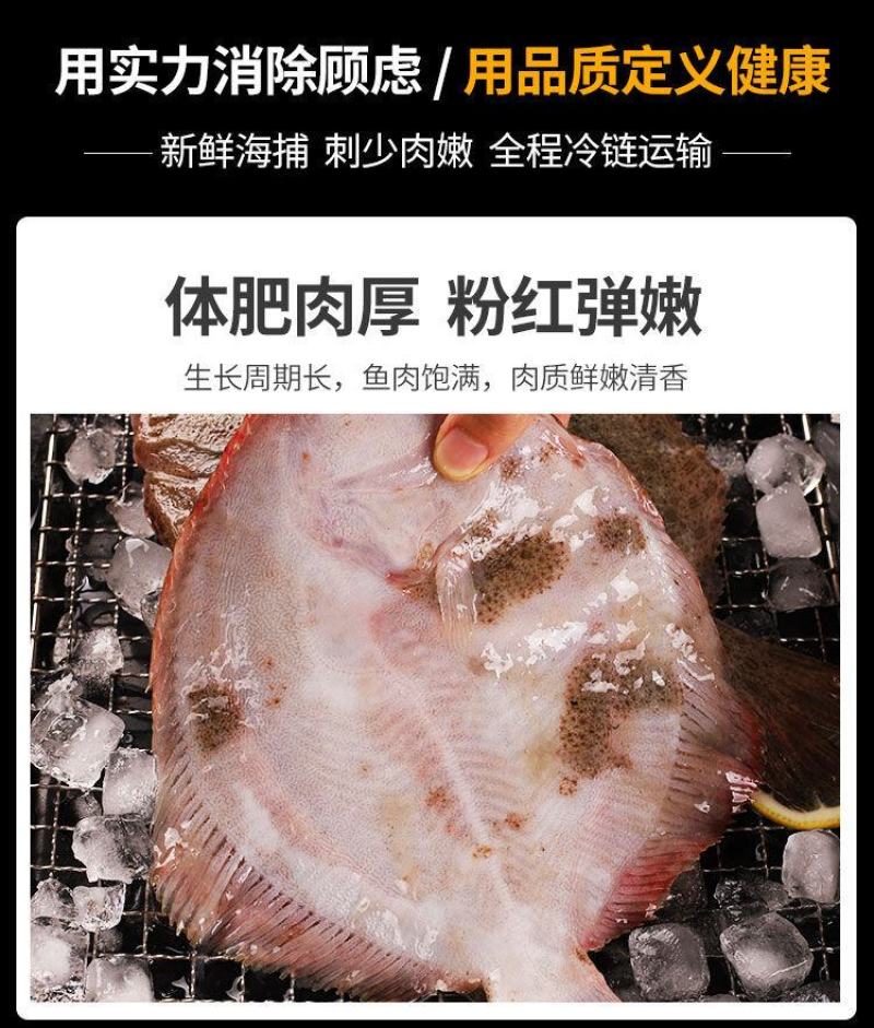 新鲜多宝鱼鲜活比目鱼海鲜鱼类批发大菱鲆鸦片鱼鲽鱼石斑鱼