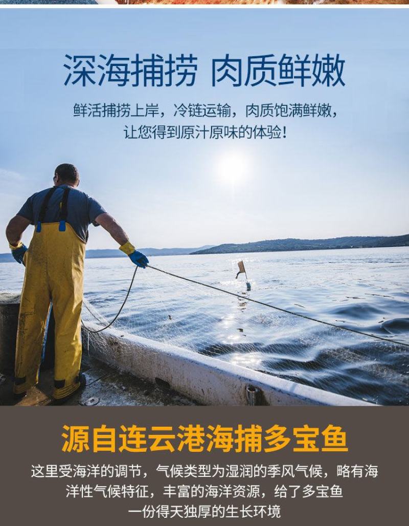 新鲜多宝鱼鲜活比目鱼海鲜鱼类批发大菱鲆鸦片鱼鲽鱼石斑鱼