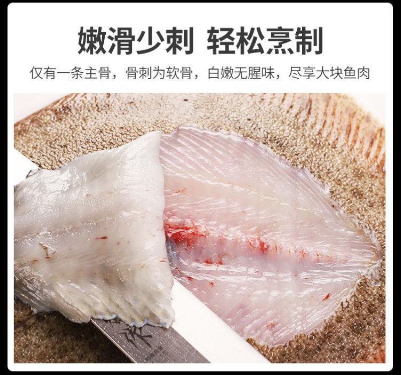 新鲜多宝鱼鲜活比目鱼海鲜鱼类批发大菱鲆鸦片鱼鲽鱼石斑鱼