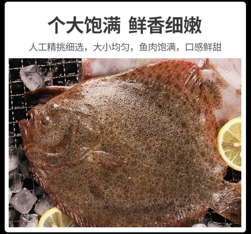 新鲜多宝鱼鲜活比目鱼海鲜鱼类批发大菱鲆鸦片鱼鲽鱼石斑鱼