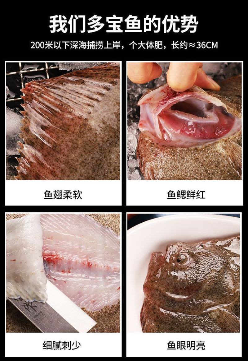 新鲜多宝鱼鲜活比目鱼海鲜鱼类批发大菱鲆鸦片鱼鲽鱼石斑鱼