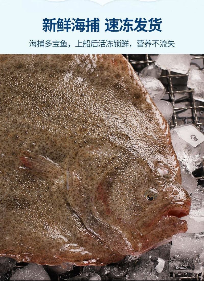 新鲜多宝鱼鲜活比目鱼海鲜鱼类批发大菱鲆鸦片鱼鲽鱼石斑鱼