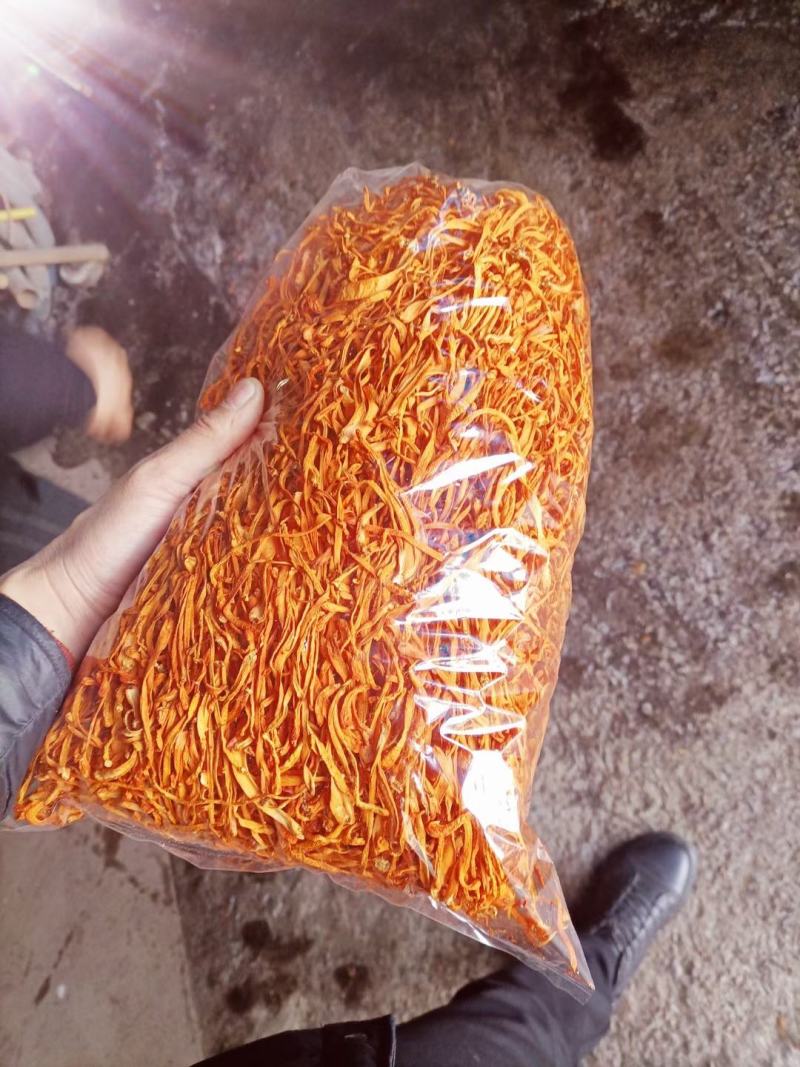 干虫草花