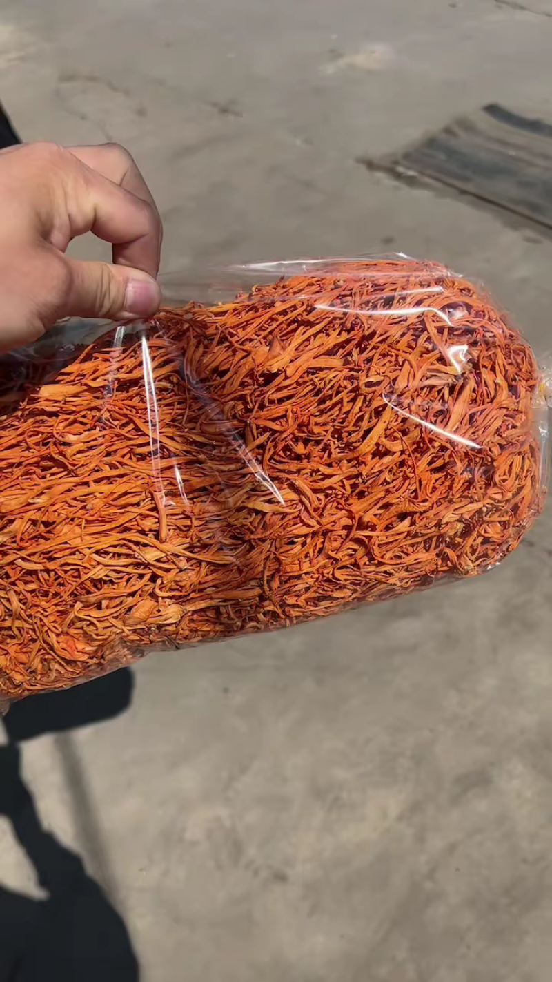 干虫草花