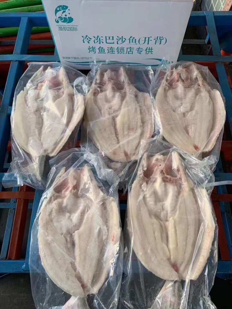 开背巴沙鱼🐟