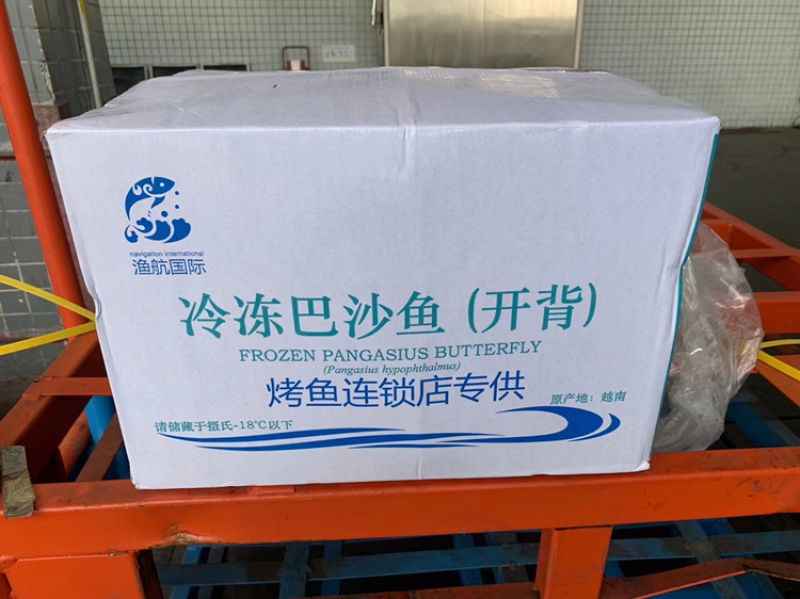 开背巴沙鱼🐟