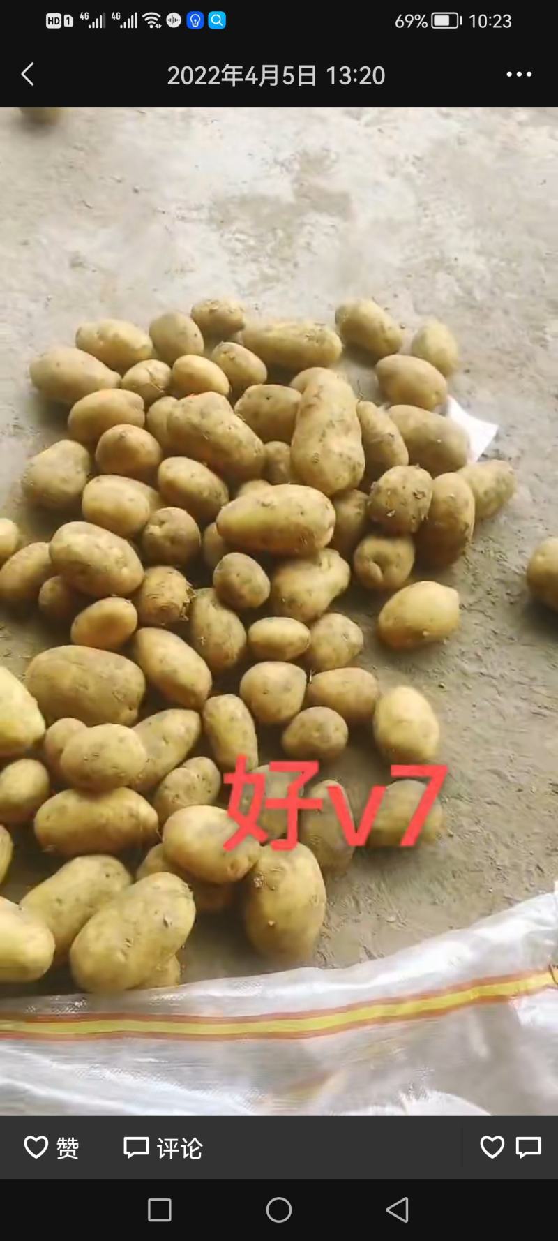 V7土豆