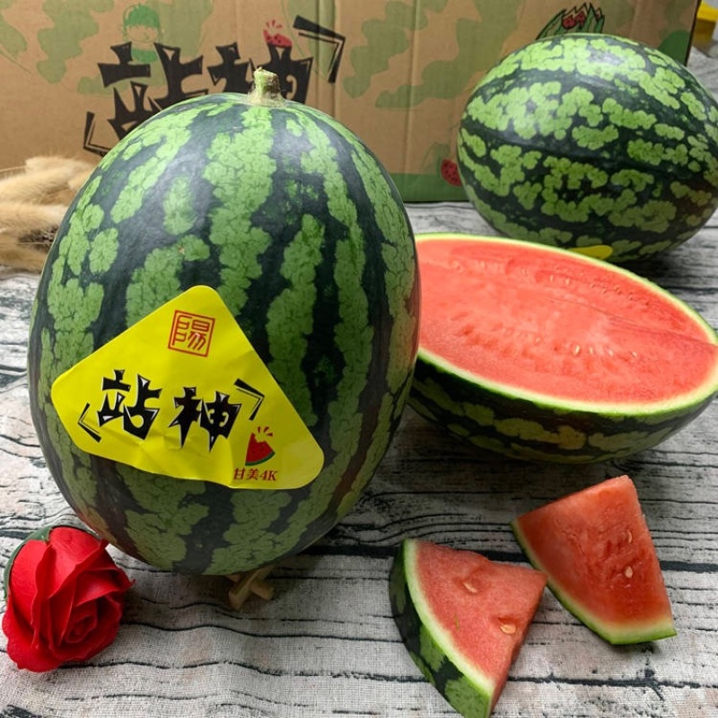 江苏西瓜精品甘美4K货源充足价格优惠欢迎来电