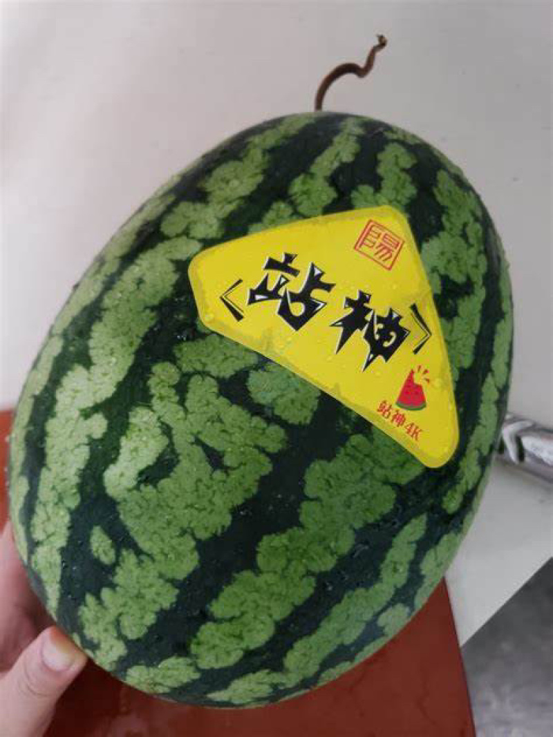 江苏西瓜精品甘美4K货源充足价格优惠欢迎来电