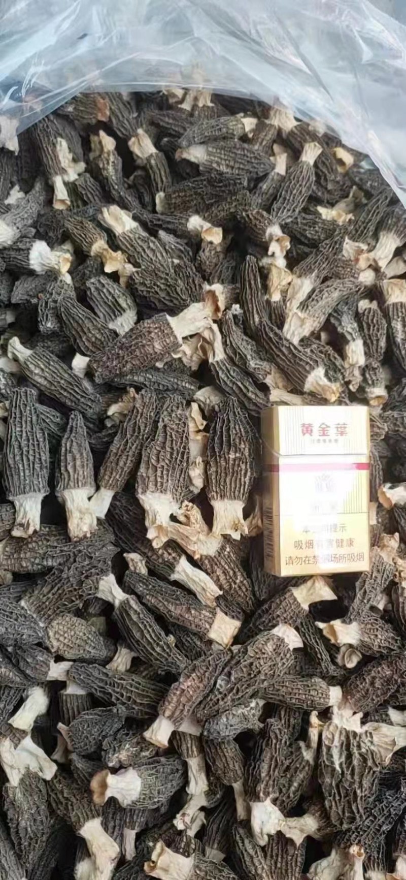 羊肚菌干货！干货！只接受批发！不零售
