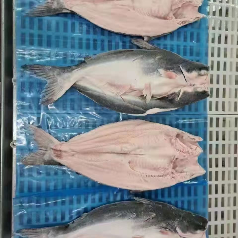 越南反骨腌制开背鱼，湄公鱼，原条开背鱼，全国接单