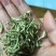 中药材金银花头茬散装特极花茶药食同源泡茶药用清香
