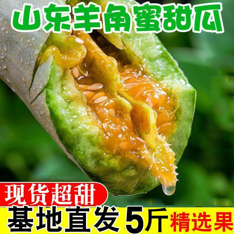 5斤新鲜羊角蜜甜瓜现摘现发脆甜多汁脆瓜香瓜羊角蜜批发