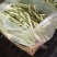 山东芸豆产地，芸豆价格