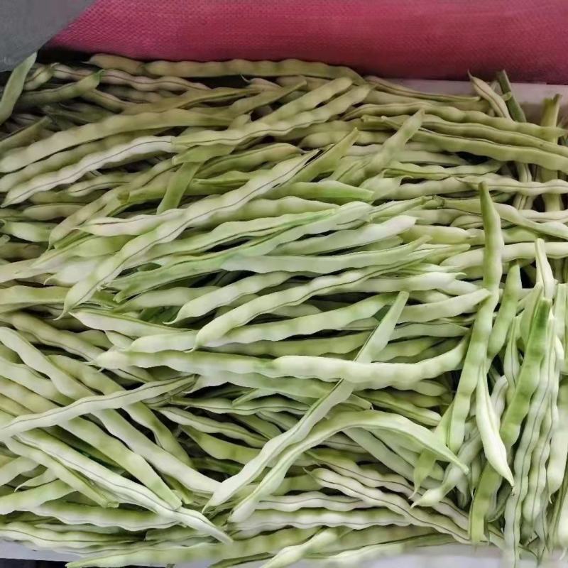 山东芸豆产地，芸豆价格