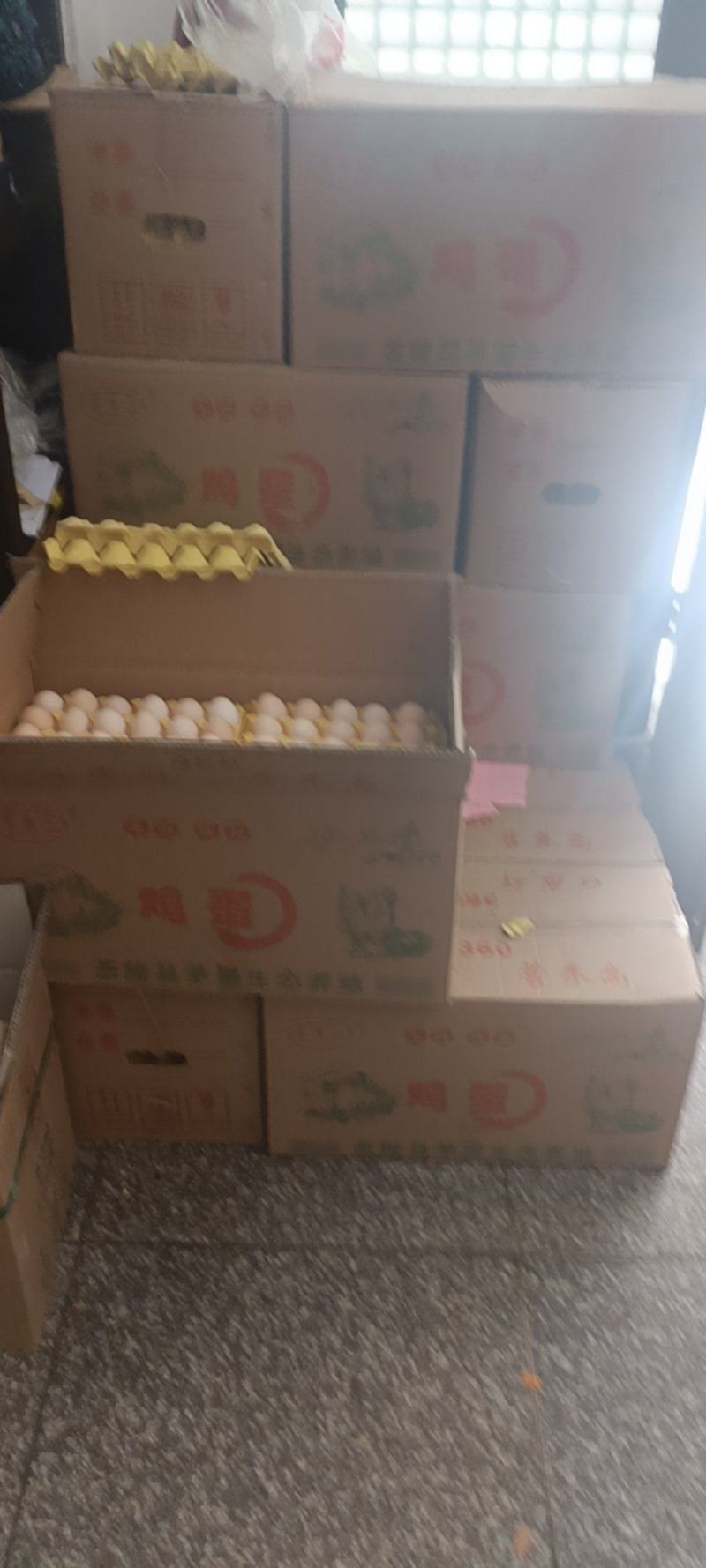 粉蛋，1件起批，量大可优惠，量越大优惠越大，优惠很大