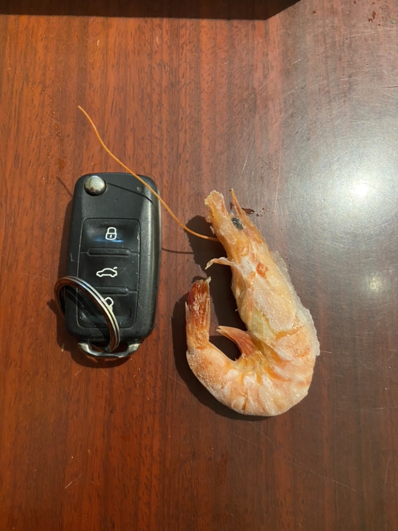 【熟冻黑虎虾】净重700g一盒，欢迎各位老板前来选购