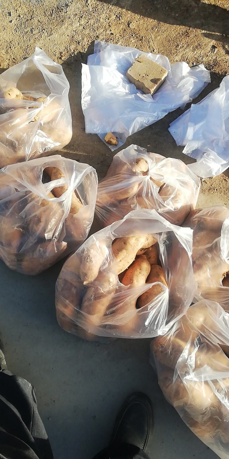 北京553红薯商品薯黄心3两以上大量有货