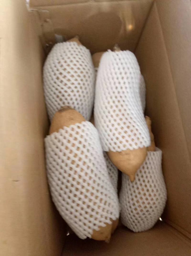 北京553红薯商品薯黄心3两以上大量有货