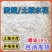 鲮鱼鱼苗鲮鱼苗土鲮鱼苗泰鲮鱼淡水活体观赏鲮鱼苗包邮路损