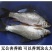 鲮鱼鱼苗鲮鱼苗土鲮鱼苗泰鲮鱼淡水活体观赏鲮鱼苗包邮路损