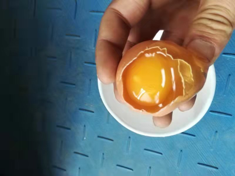 红壳鸡蛋