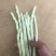 四季豆