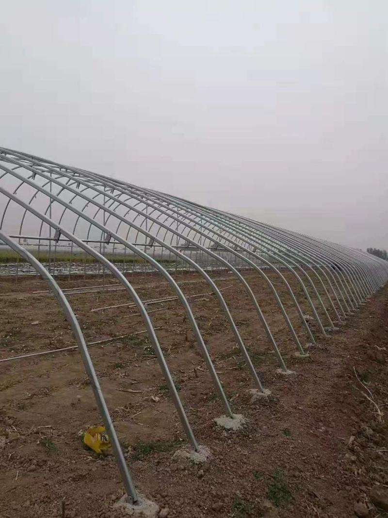 天津大棚温室骨架品质保证厂家直销欢迎各位联系