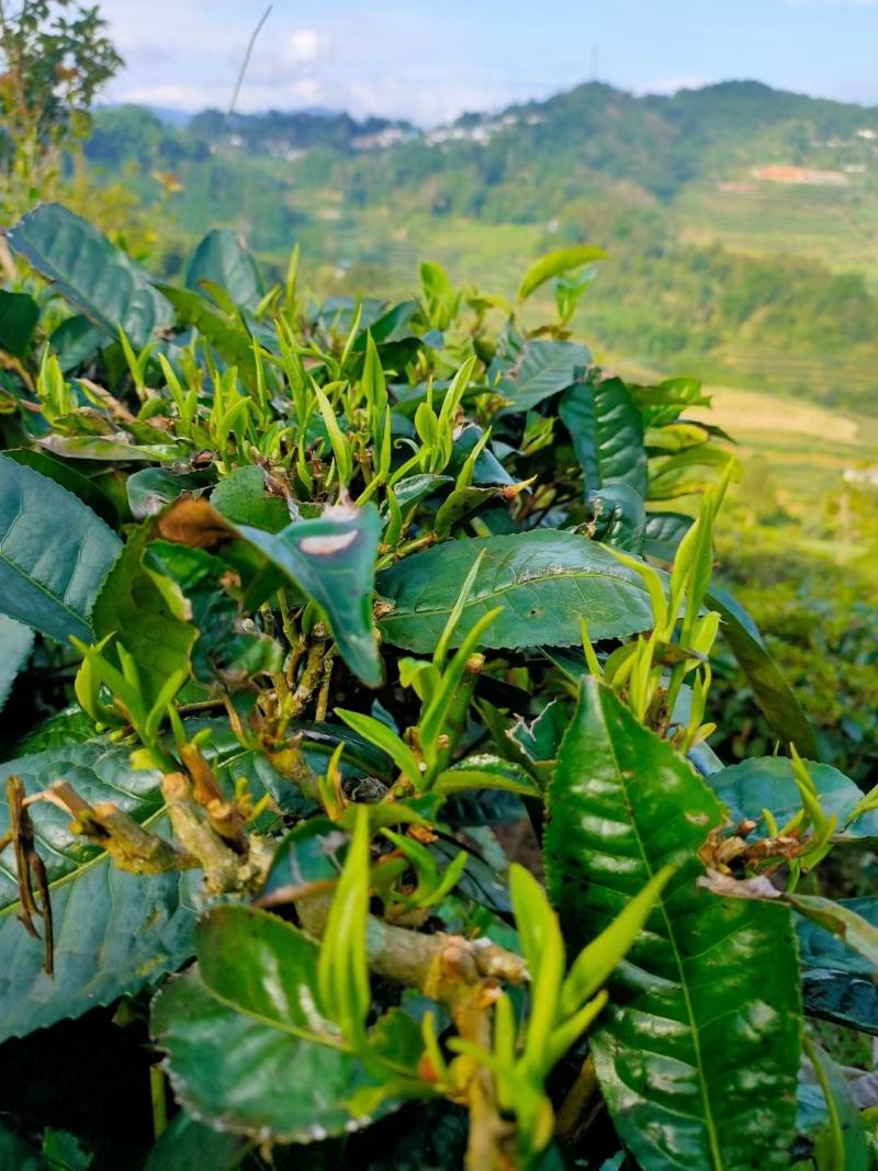 不满意10天包退（少掉10克20克算我的）