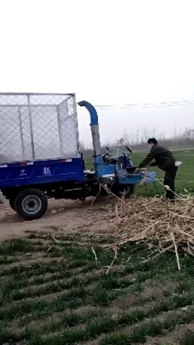铡草机，三轮铡草车，5吨铡草机，三轮改装铡草车，可移动铡