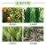 80%乙蒜素青苔枯萎青枯根腐病死苗烂秧真菌细菌农用杀菌剂