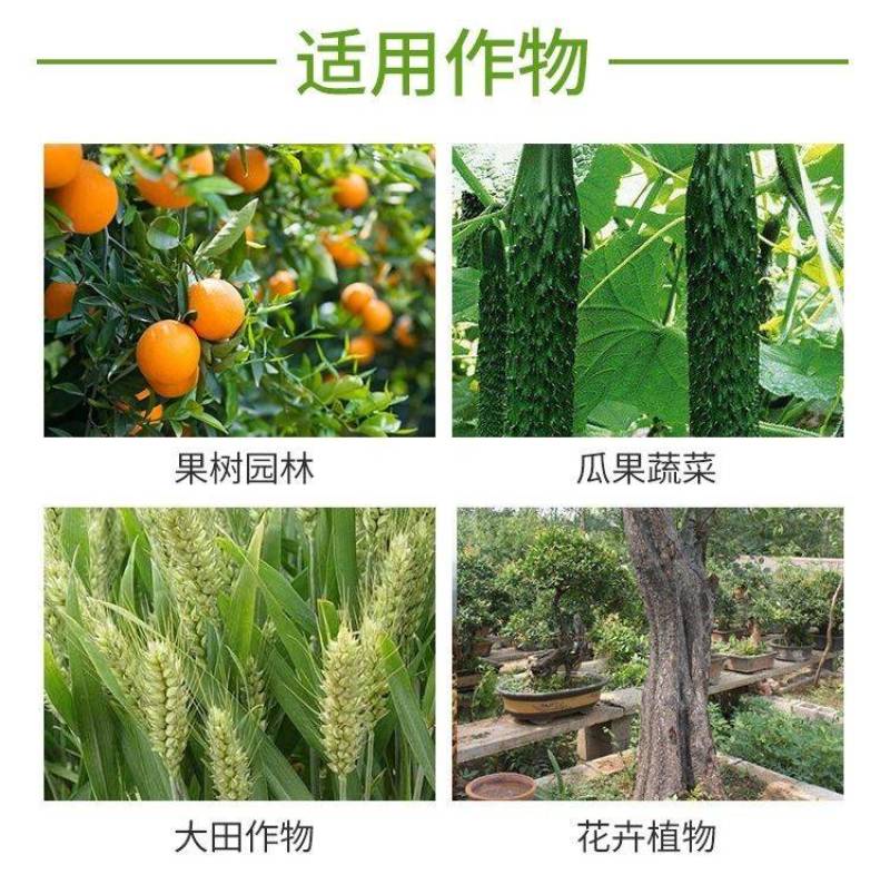 80%乙蒜素青苔枯萎青枯根腐病死苗烂秧真菌细菌农用杀菌剂