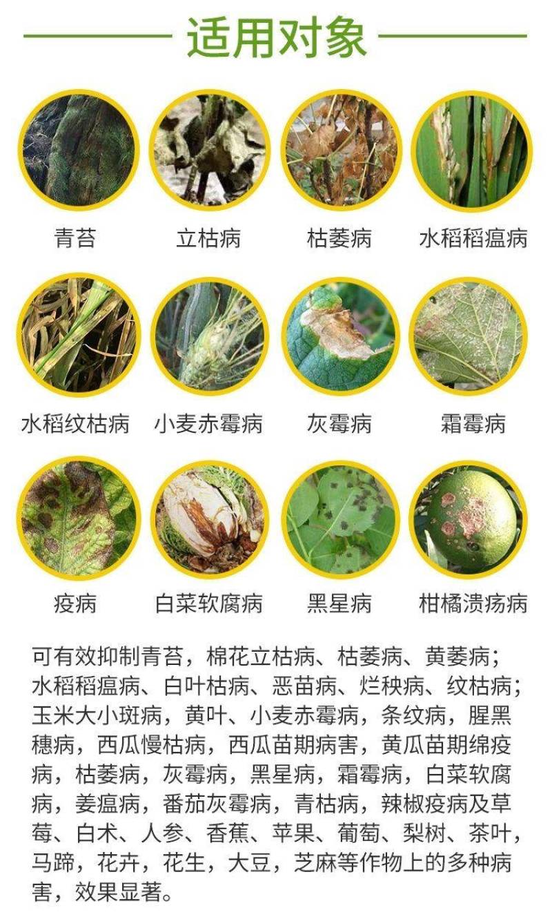 80%乙蒜素青苔枯萎青枯根腐病死苗烂秧真菌细菌农用杀菌剂