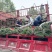 混播草坪批发供应基地出售各类草坪哦，台湾二号草坪，百慕大