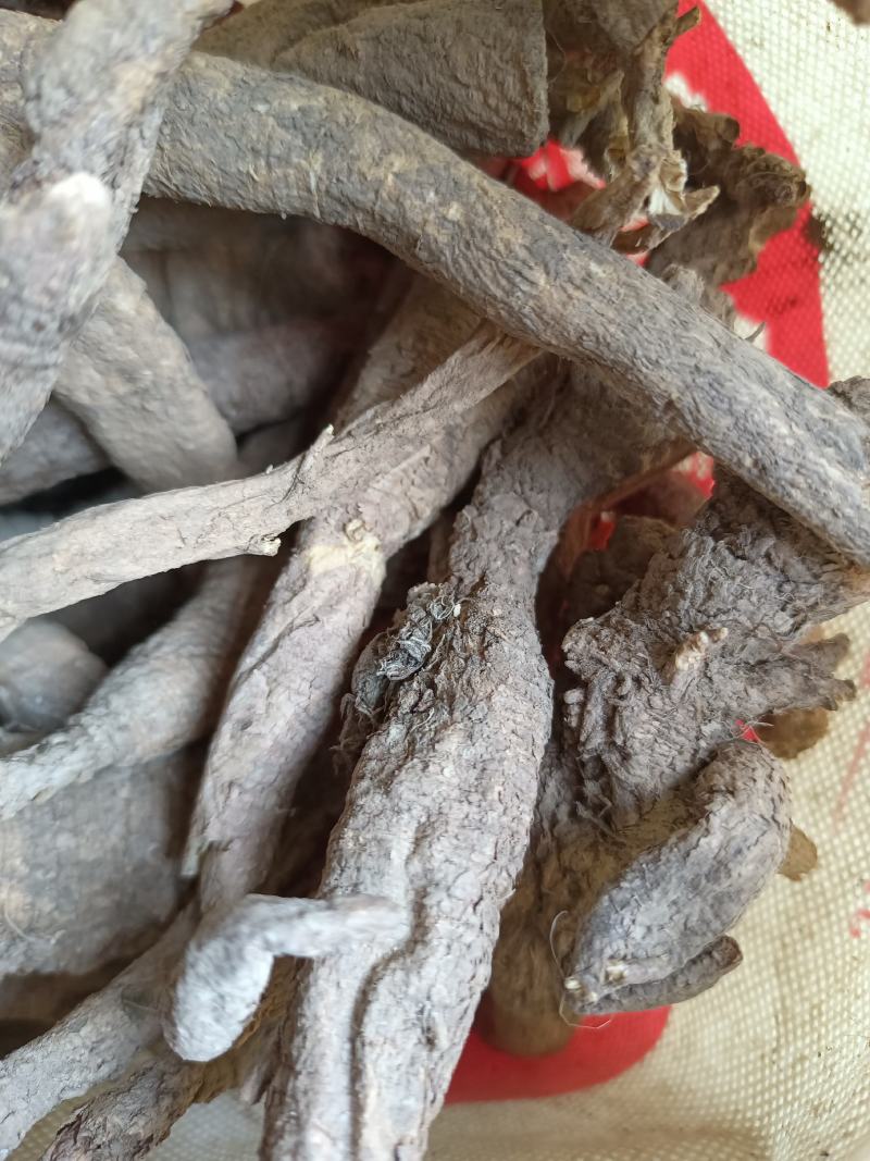野生南沙参。足干。无硫。纯正野生货。药力足，产地直发