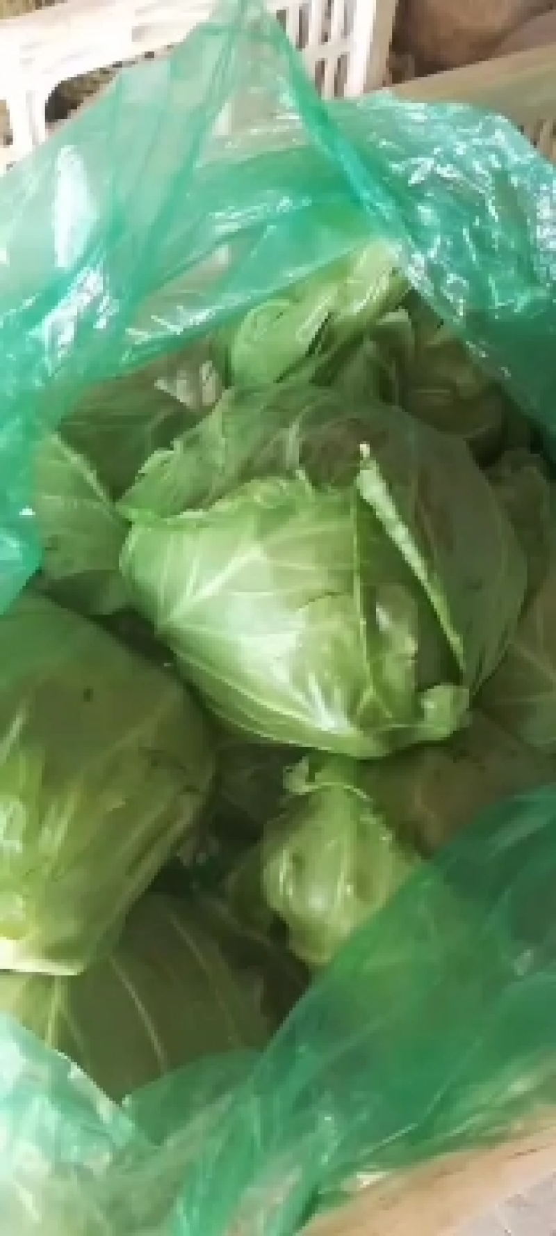 甘蓝大量供应，基地直发，价格便宜，质量有保证，欢迎老板订