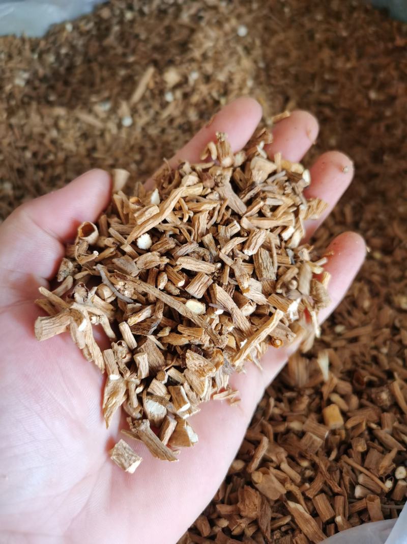 柴胡银柴胡甘肃干净无杂质正品银柴胡质量保证