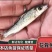 花鼓鱼苗苗苗苗花骨水花鱼苗花姑娘马驹子季郎鱼鸡