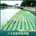 生态浮岛制作-浮床水生植物种植净化水质包施工可签订合同