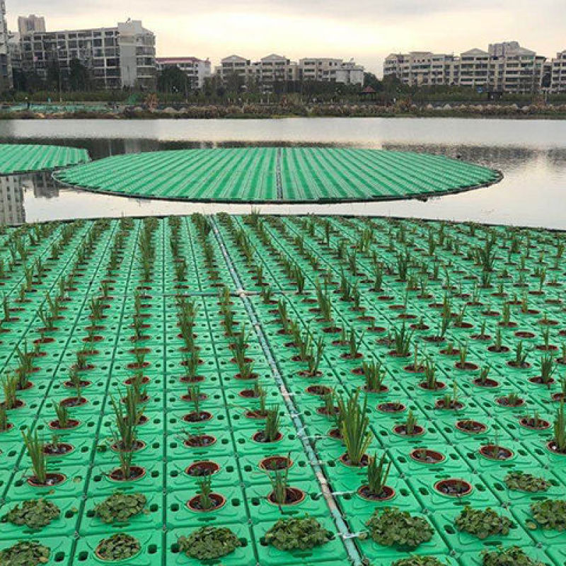 生态浮岛制作-浮床水生植物种植净化水质包施工可签订合同