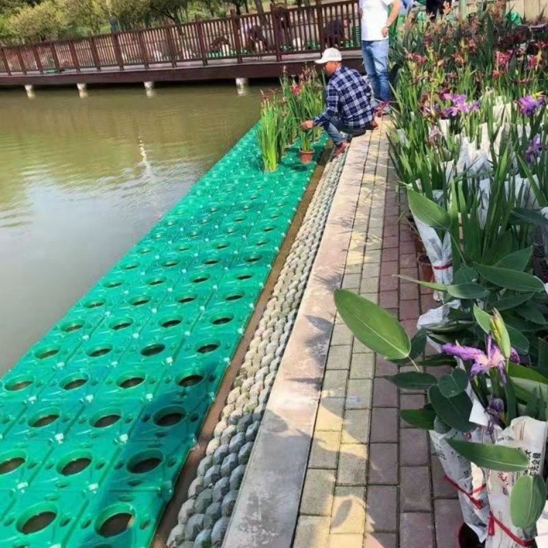 生态浮岛制作-浮床水生植物种植净化水质包施工可签订合同