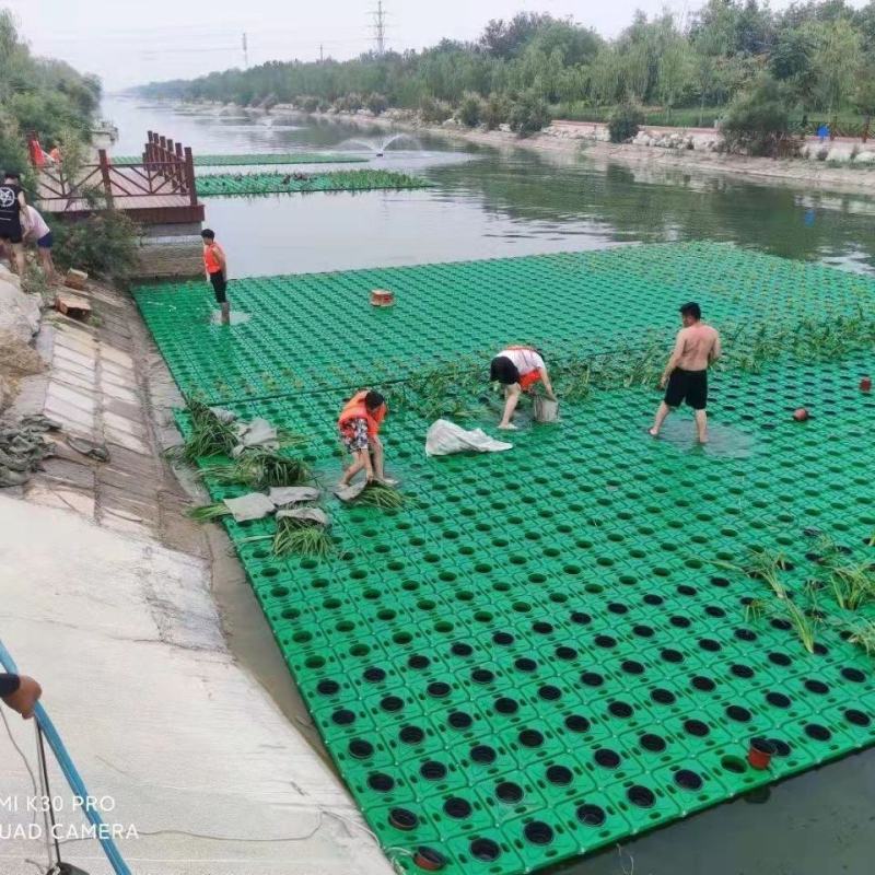 生态浮岛制作-浮床水生植物种植净化水质包施工可签订合同