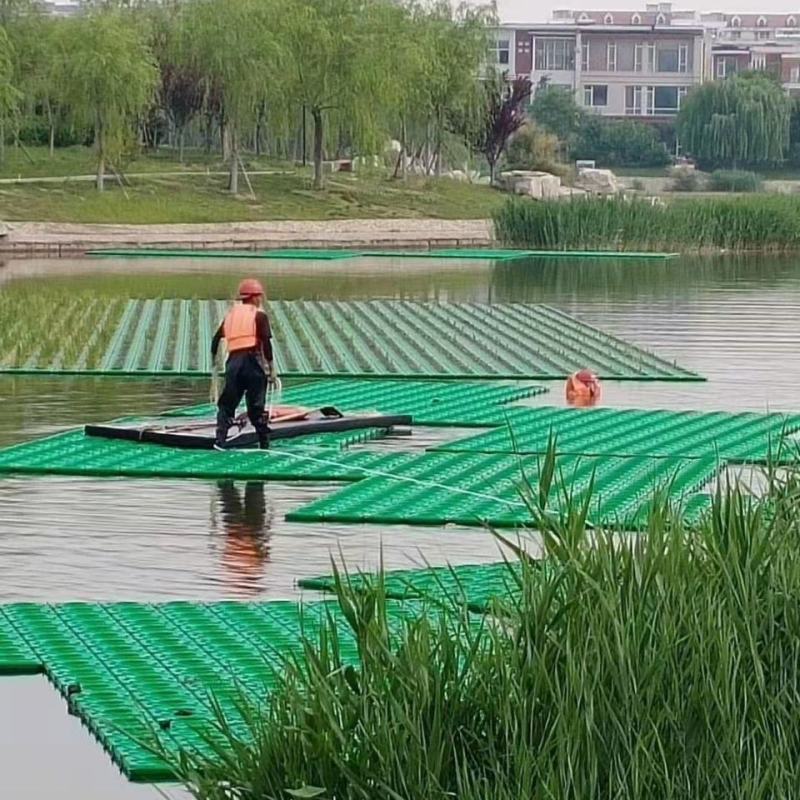 生态浮岛制作-浮床水生植物种植净化水质包施工可签订合同