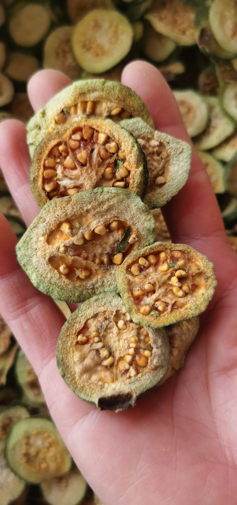 中药材番石榴干片