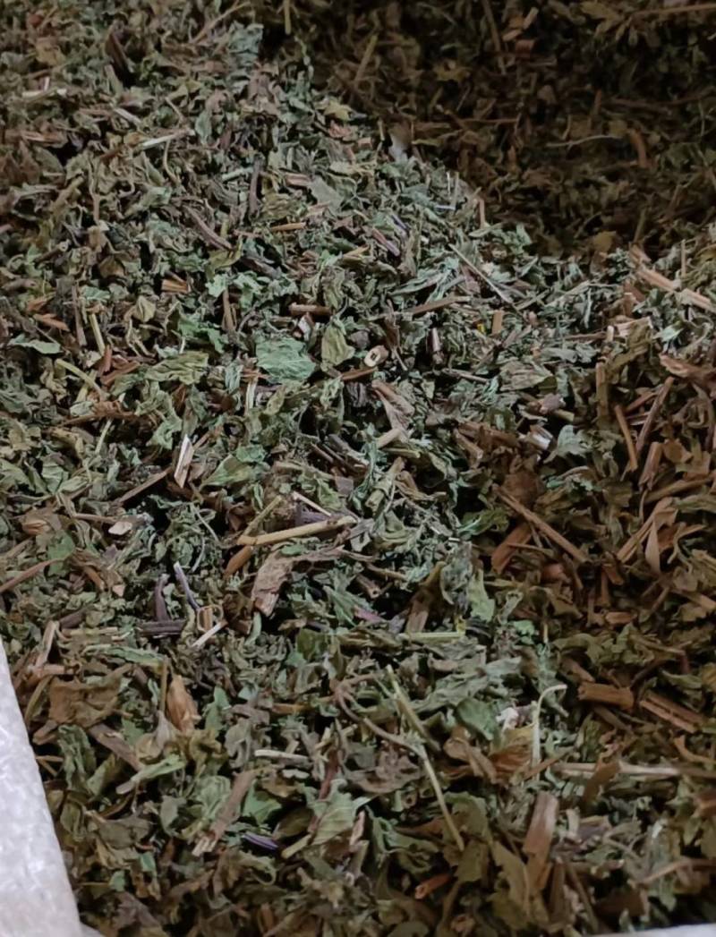 薄荷大全