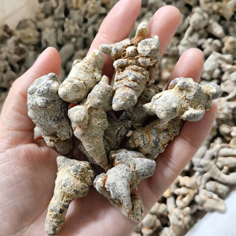 三七60头产地云南实图拍摄重在品质物美价廉