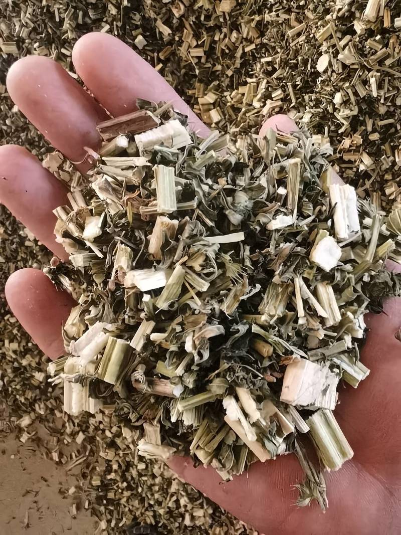 益母草各种规格