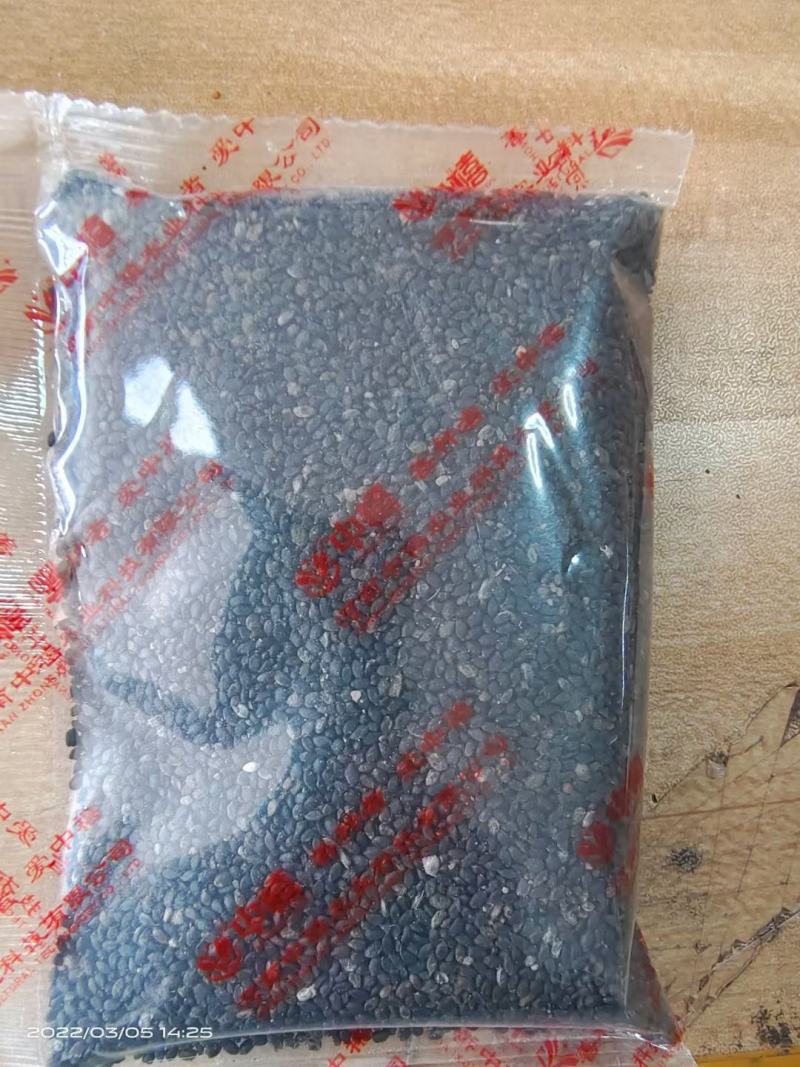 【精选】荆芥种子纯度高芽率高品质好长势好