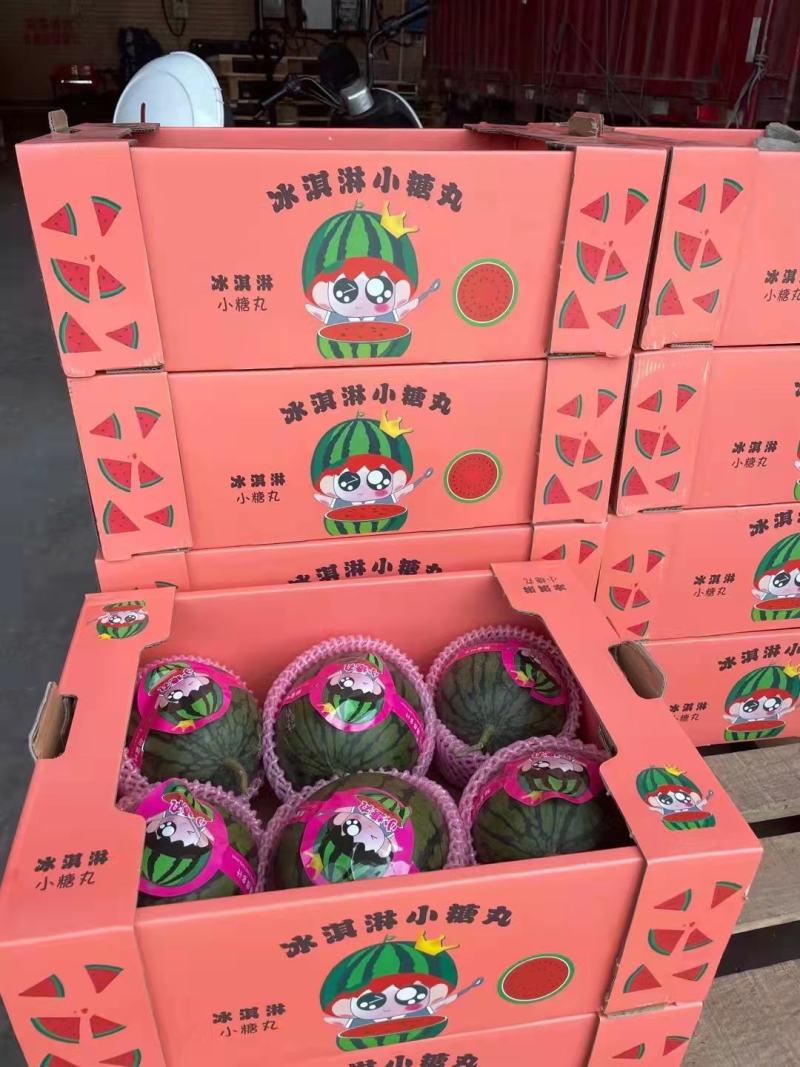 山东全美2K西瓜小糖丸西瓜2k小吊瓜，手剥小西瓜产地直发