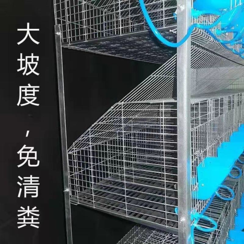 兔笼12位9位免清粪兔子笼养殖笼兔舍加粗加密三层母兔繁殖